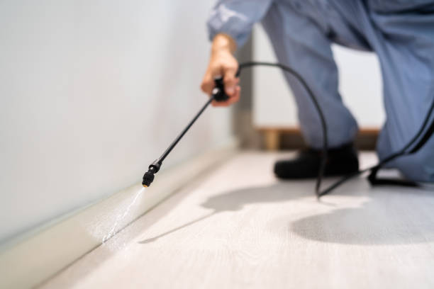 Professional exterminator conducting IPM assessment in Hideout
